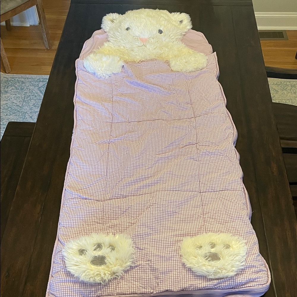 Pottery Barn Kids Adorable Purple Gingham Cat Sleeping Bag
